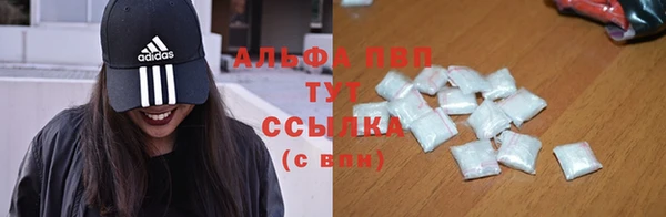 стафф Белокуриха