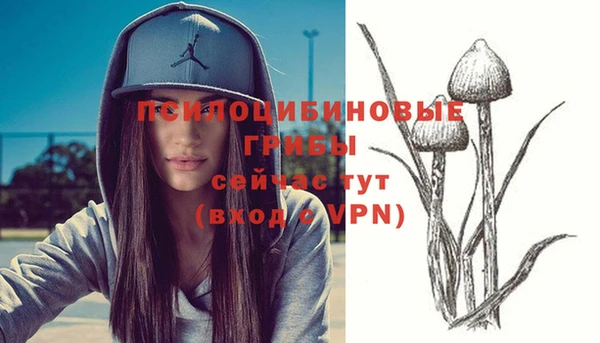 стафф Белокуриха