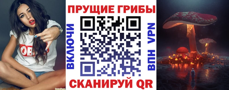 ссылка на мегу как зайти  Кодинск  Галлюциногенные грибы мухоморы  дарнет шоп 